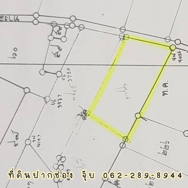 ขายที่ดินปากช่อง 5-3-55.3 ไร่ น้ำไม่ท่วม (ราคาถูกสุดในโซนเดียวกัน) ติดถนน 2 ฝั่ง เหมาะทำโรงแรม รีสอร์ท วิวเขาใหญ่